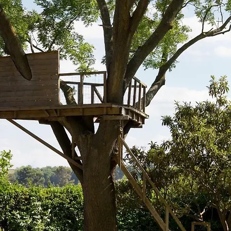 Domaine De La Jasso, Demeure De Grand Luxe Au Pied De La Cité De Carcassonne, Piscines Et Parc Animalier * Carcassonne