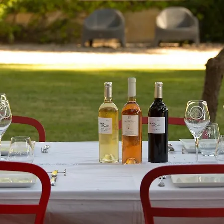 Domaine De La Jasso, Demeure De Grand Luxe Au Pied De La Cite De Carcassonne, Piscines Et Parc Animalier 펜션
