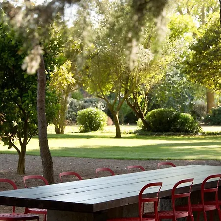 Domaine De La Jasso, Demeure De Grand Luxe Au Pied De La Cité De Carcassonne, Piscines Et Parc Animalier