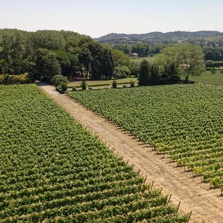 Domaine De La Jasso, Demeure De Grand Luxe Au Pied De La Cité De Carcassonne, Piscines Et Parc Animalier
