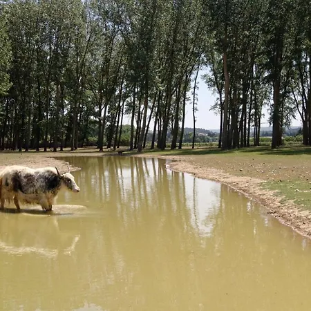 Domaine De La Jasso, Demeure De Grand Luxe Au Pied De La Cite De Carcassonne, Piscines Et Parc Animalier *