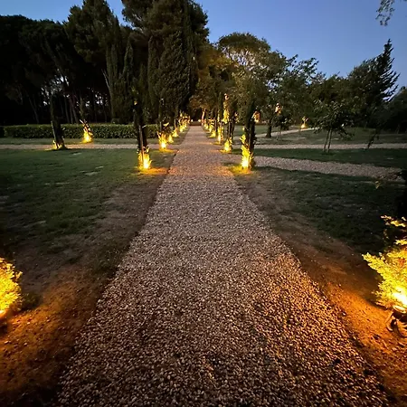 펜션 Domaine De La Jasso, Demeure De Grand Luxe Au Pied De La Cite De Carcassonne, Piscines Et Parc Animalier 카르카손