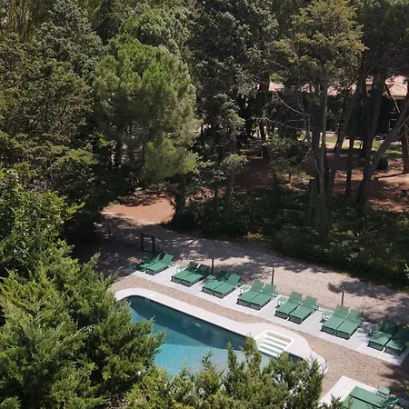 Domaine De La Jasso, Demeure De Grand Luxe Au Pied De La Cite De Carcassonne, Piscines Et Parc Animalier 펜션