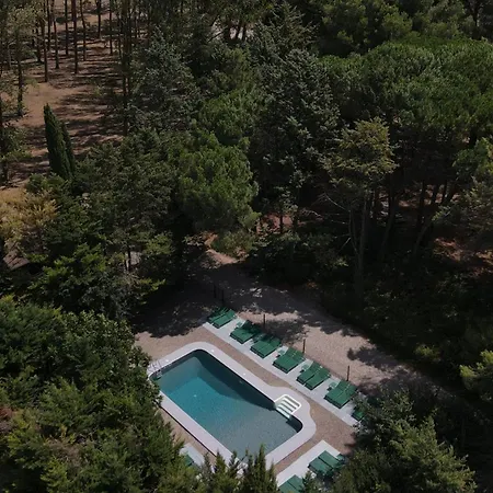 Domaine De La Jasso, Demeure De Grand Luxe Au Pied De La Cité De Carcassonne, Piscines Et Parc Animalier Carcassonne