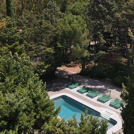 Domaine De La Jasso, Demeure De Grand Luxe Au Pied De La Cite De Carcassonne, Piscines Et Parc Animalier Feriehus